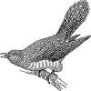 シンセで再現したカッコウの鳴き声